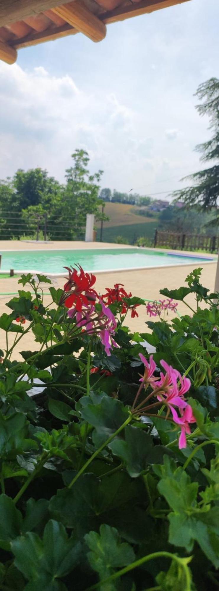 카살레몬페라토 Cascina Pelizza 아파트 외부 사진
